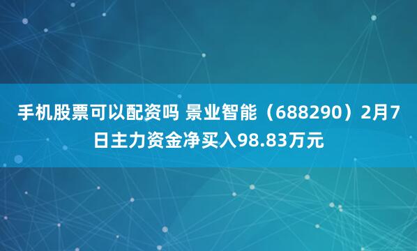 手机股票可以配资吗 景业智能（688290）2月7日主力资金净买入98.83万元