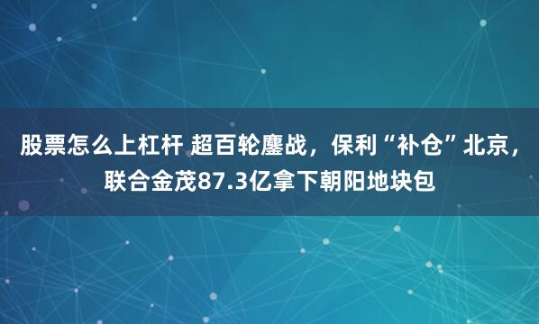 股票怎么上杠杆 超百轮鏖战，保利“补仓”北京，联合金茂87.3亿拿下朝阳地块包