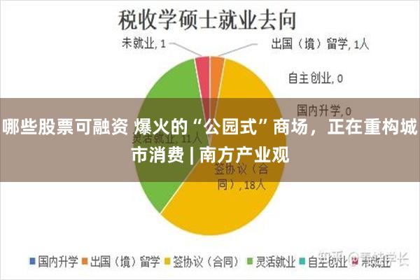 哪些股票可融资 爆火的“公园式”商场，正在重构城市消费 | 南方产业观