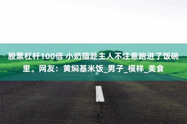 股票杠杆100倍 小奶猫趁主人不注意跑进了饭碗里。网友：黄焖基米饭_男子_模样_美食