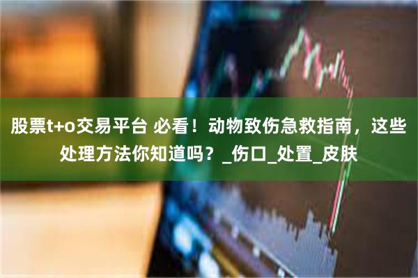 股票t+o交易平台 必看！动物致伤急救指南，这些处理方法你知道吗？_伤口_处置_皮肤