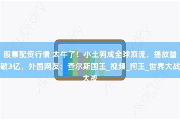 股票配资行情 太牛了！小土狗成全球顶流，播放量破3亿，外国网友：查尔斯国王_视频_狗王_世界大战