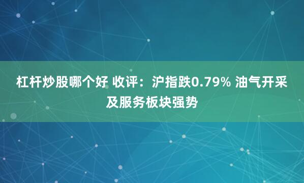 杠杆炒股哪个好 收评：沪指跌0.79% 油气开采及服务板块强势