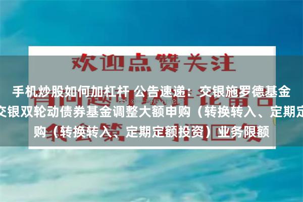 手机炒股如何加杠杆 公告速递：交银施罗德基金管理有限公司关于交银双轮动债券基金调整大额申购（转换转入、定期定额投资）业务限额