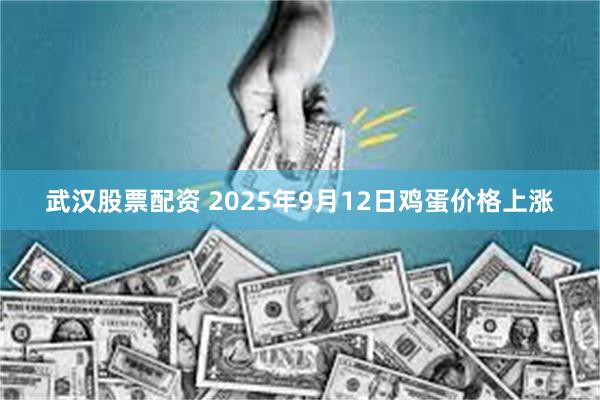 武汉股票配资 2025年9月12日鸡蛋价格上涨