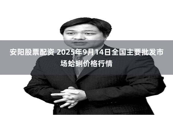 安阳股票配资 2025年9月14日全国主要批发市场蛤蜊价格行情
